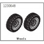 Wheels - Sherpa - 1230648